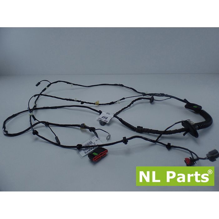 Instalação elétrica da porta Ford Focus 8m5t-17n400-bab